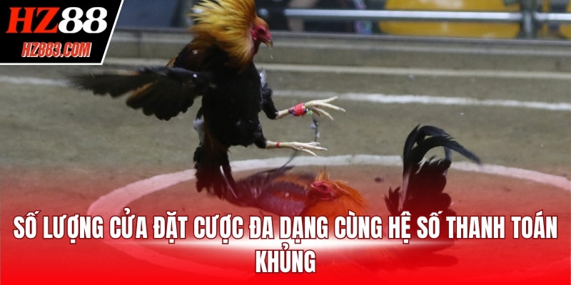 Số lượng cửa đặt cược đa dạng cùng hệ số thanh toán khủng